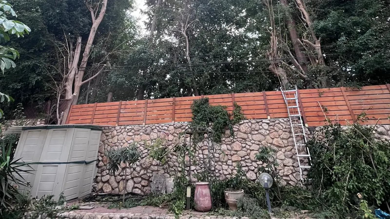 גינה פרטית עם עצים בוגרים שעברו גיזום ותחזוקה